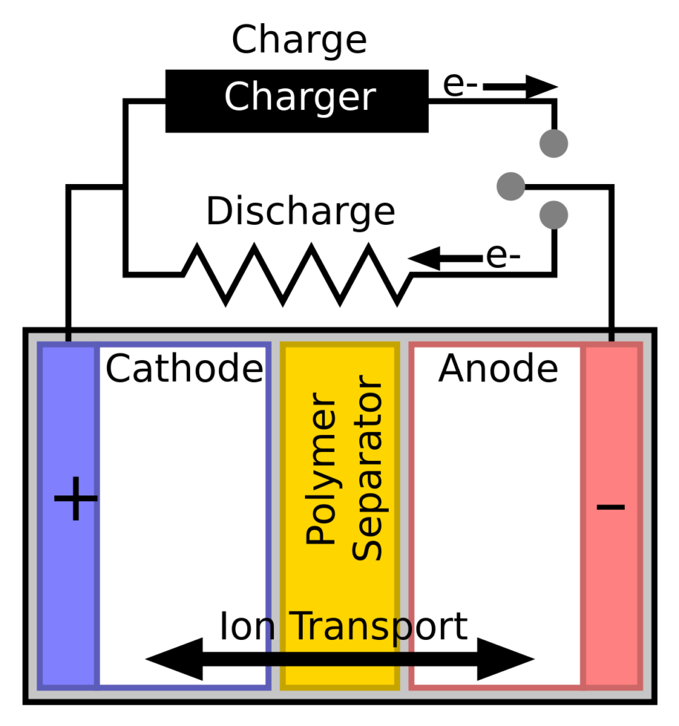 diaphragm